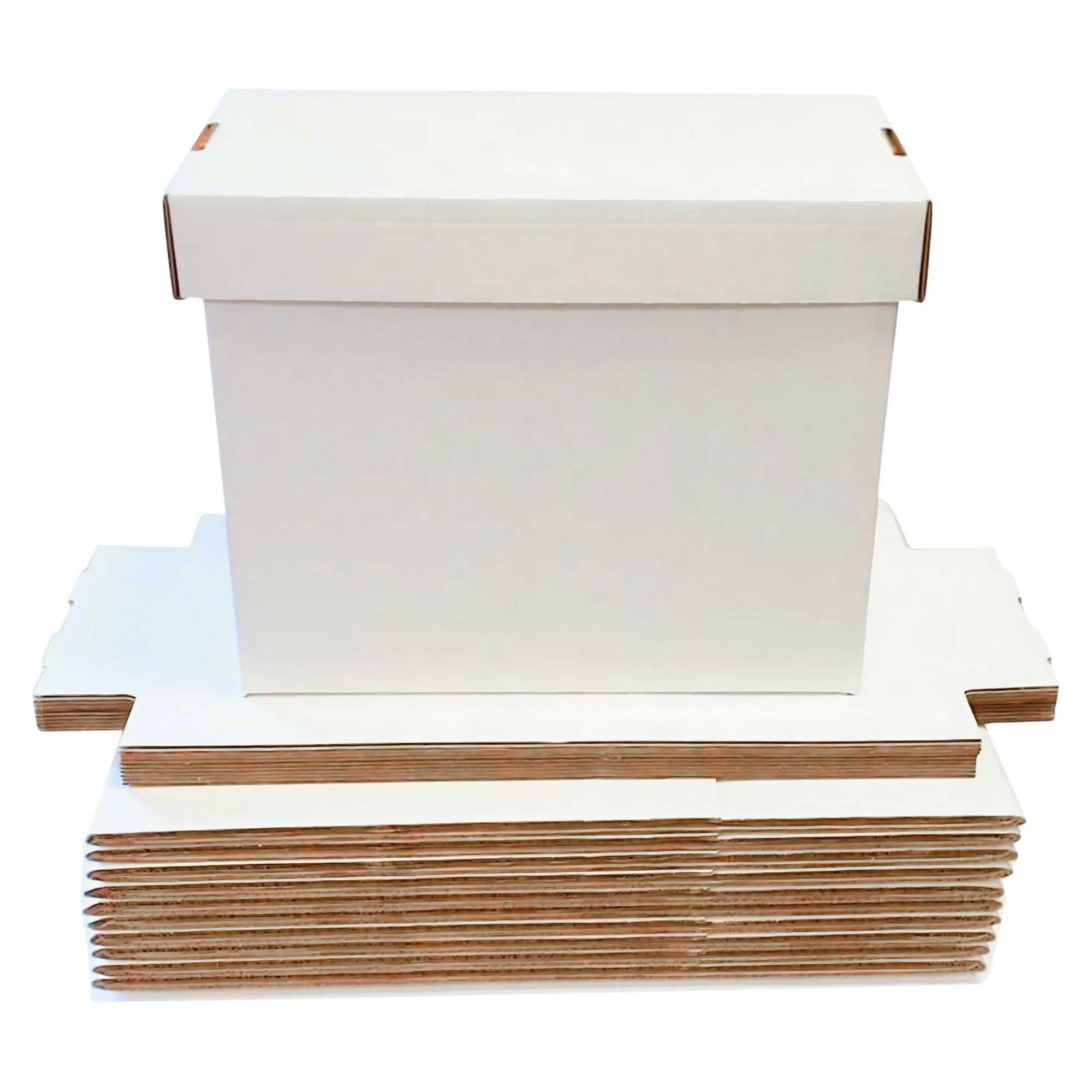 Amazon.com: Max Pro Comic Book Storage Boxes - Short Cardboard